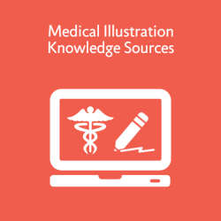 Medical Illustration Knowledge