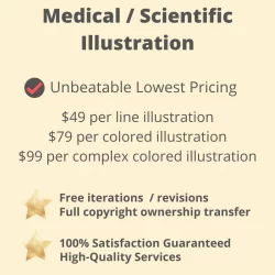 Medical-Scientific-Illustration