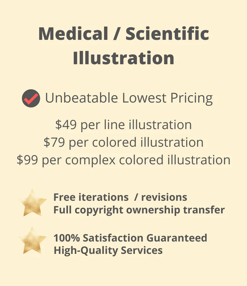 Medical-Scientific-Illustration