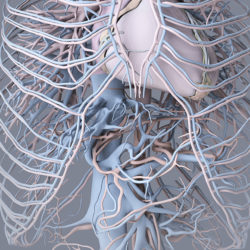 3D-Medical-Illustration-Software