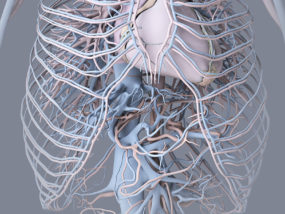 3D-Medical-Illustration-Software