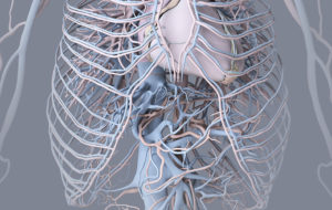 3D-Medical-Illustration-Software