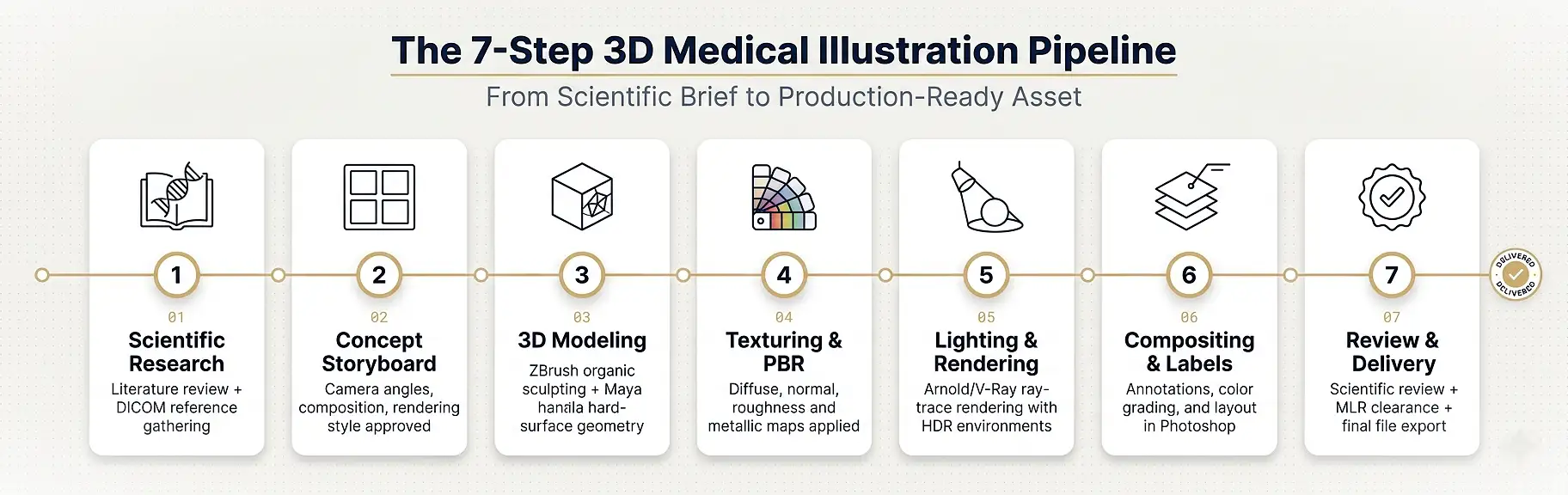 3d-medical-illustration-creation-process-7-steps
