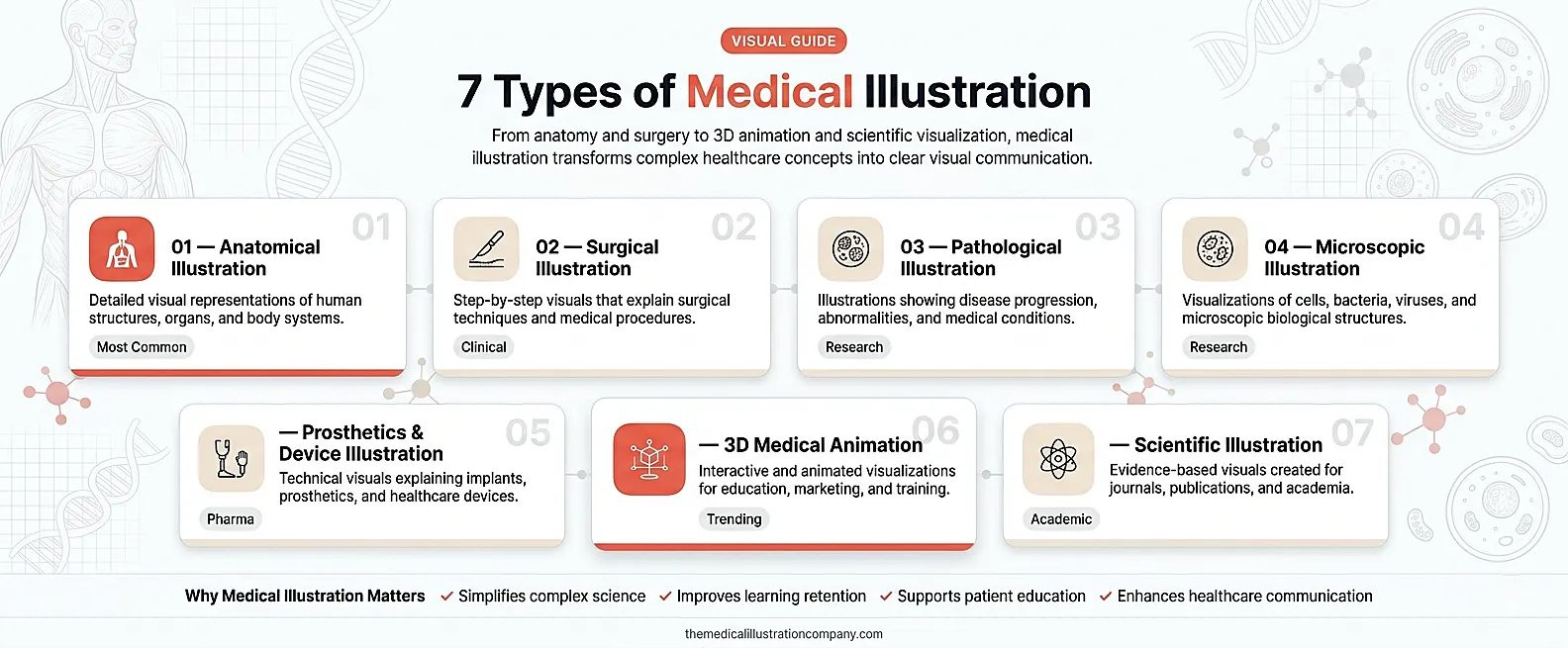 types-of-medical-illustration-overview