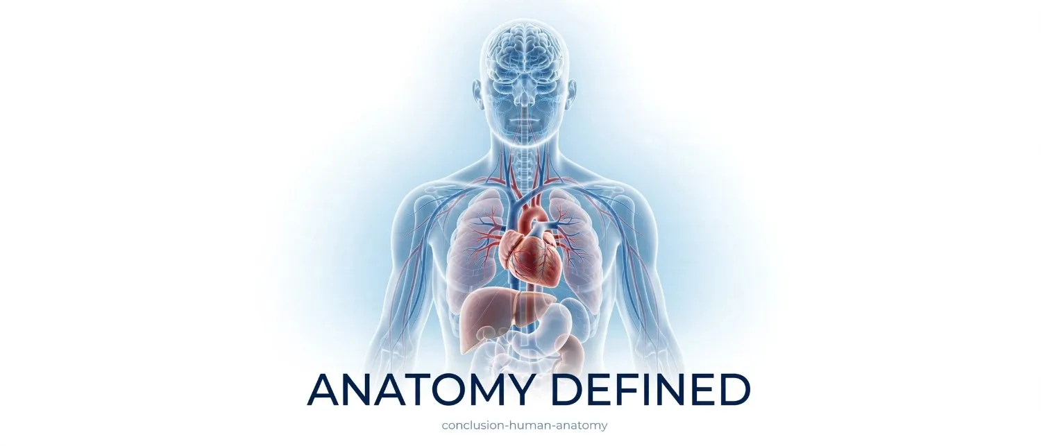 conclusion-human-anatomy