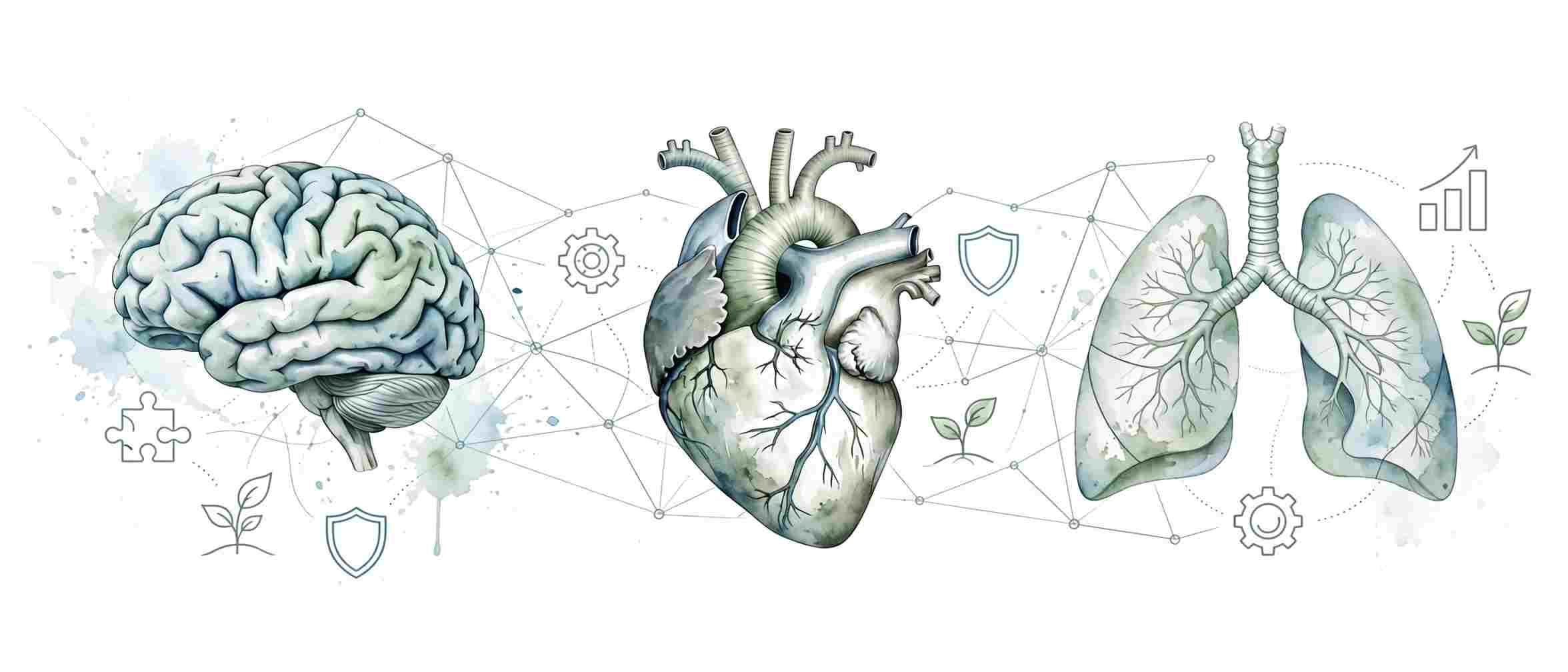 key-benefits-medical-illustration-patients-providers-systems