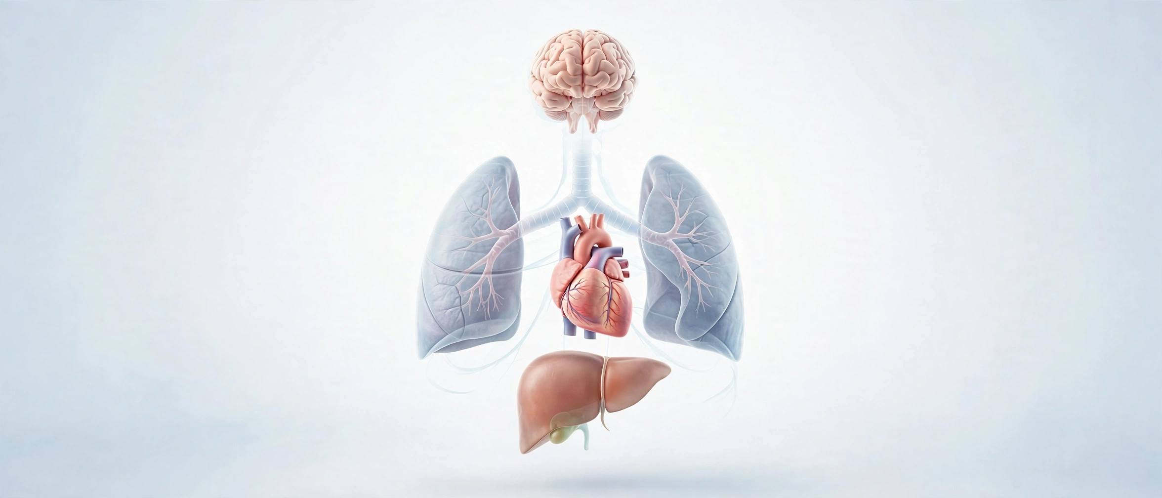 what-is-medical-illustration-patient-education