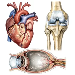 clinical-image